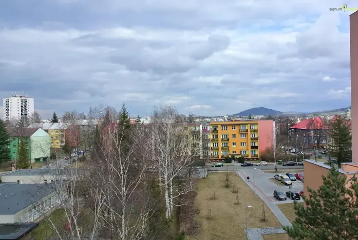 Pronájem bytu 1+1, Nový Jičín, Gregorova, 38 m2