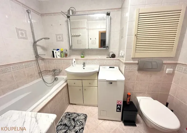 Pronájem pokoje, Brno, Arménská, 18 m2