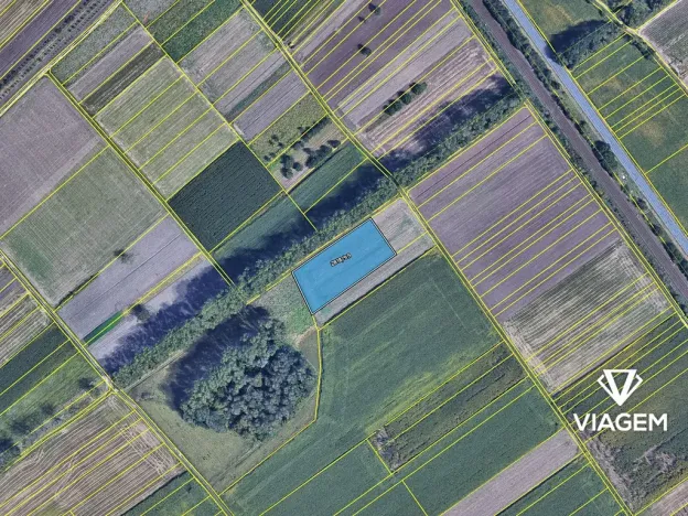 Prodej pole, Podivín, 4035 m2