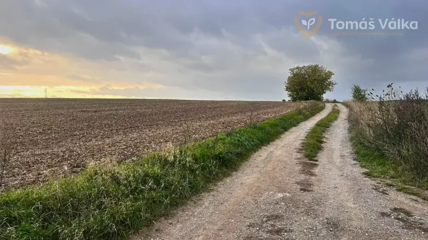 Prodej pole, Brno, 2381 m2