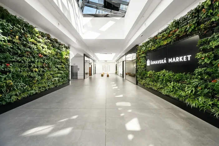 Pronájem obchodního prostoru, Brno, Šumavská, 100 m2