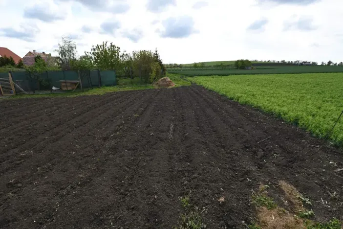 Dražba zahrady, Miroslav, 734 m2