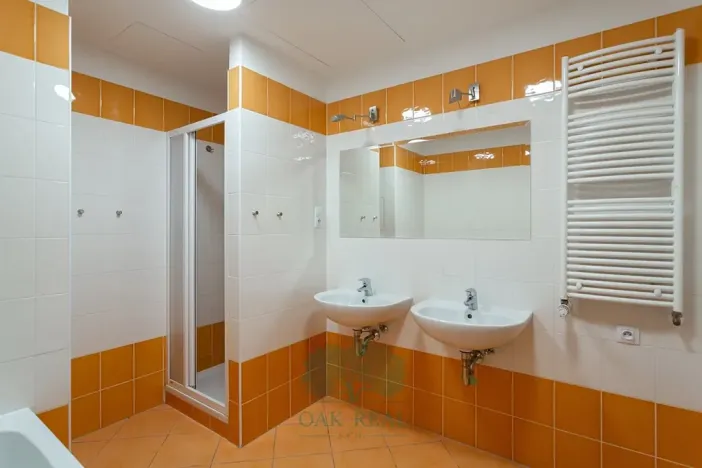 Pronájem bytu 3+kk, Praha - Vinohrady, Korunní, 106 m2