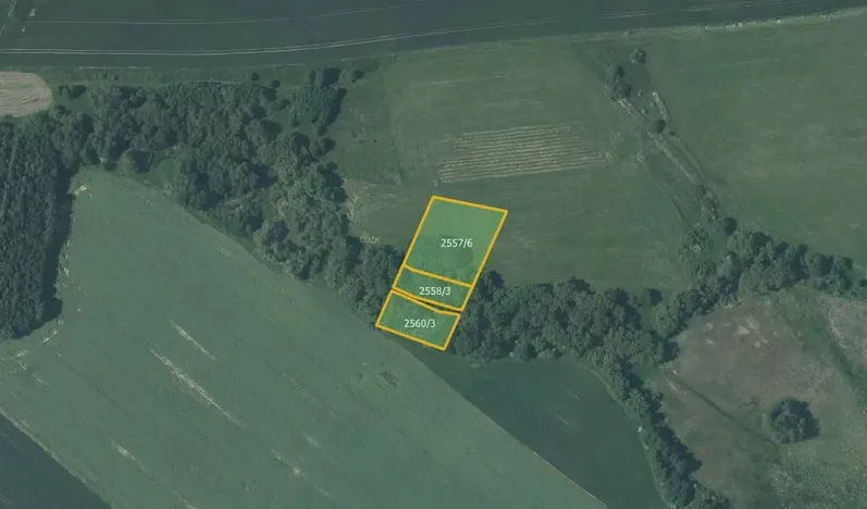 Prodej louky, Vítkov, 5637 m2