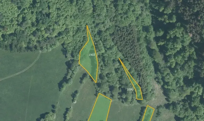 Prodej louky, Lužná, 3216 m2