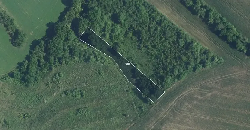 Prodej pole, Starovičky, 1914 m2