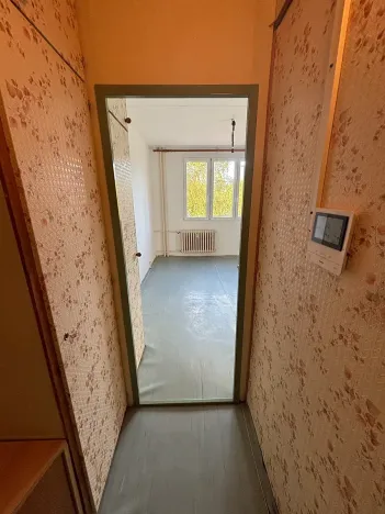 Pronájem bytu 1+1, Plzeň, 37 m2