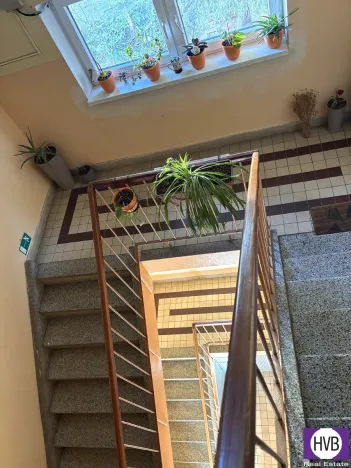 Prodej bytu 3+1, Čestice - Doubravice u Volyně, 91 m2