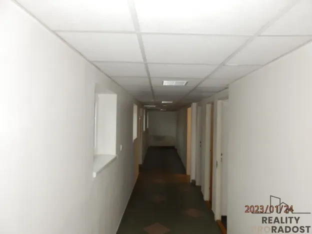 Pronájem kanceláře, Brno, Hybešova, 36 m2