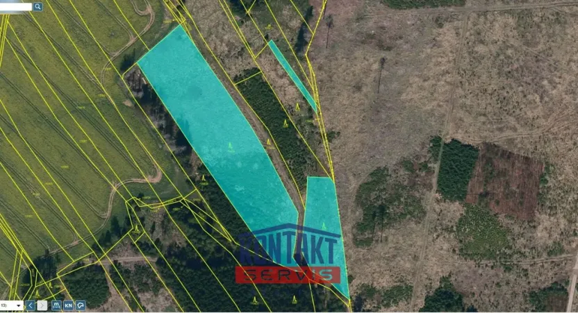 Prodej lesa, Žirovnice, 11124 m2