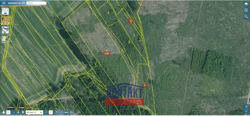 Prodej lesa, Žirovnice, 11124 m2