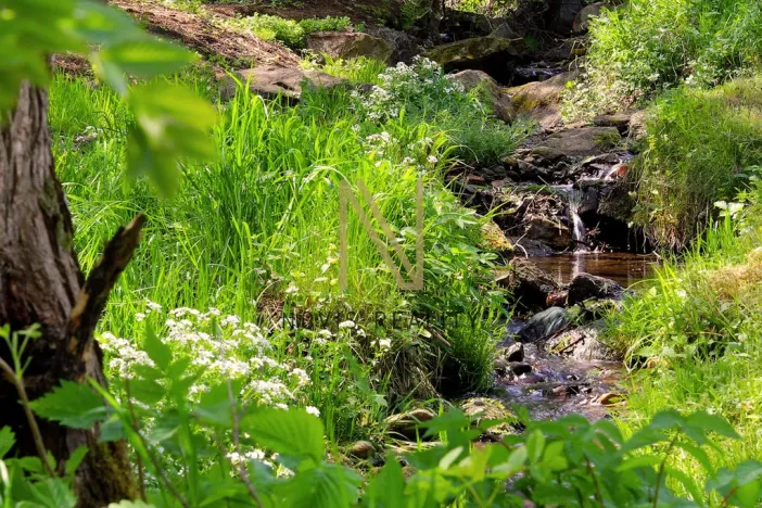 Prodej pozemku pro bydlení, Nezdice na Šumavě, 3411 m2