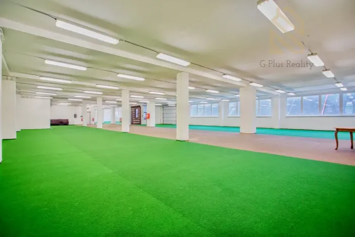 Pronájem obchodního prostoru, Polepy, 1200 m2