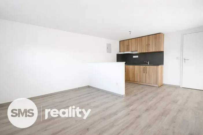 Pronájem bytu 1+kk, Opava - Předměstí, Resslovo nábřeží, 30 m2