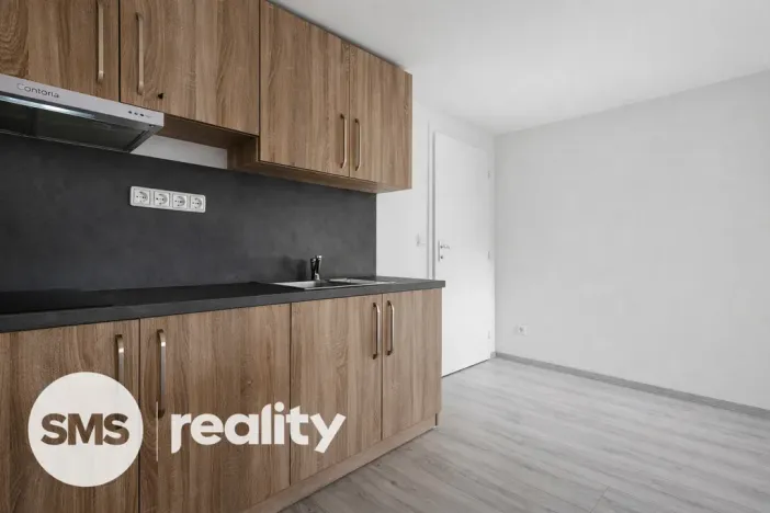 Pronájem bytu 1+kk, Opava - Předměstí, Resslovo nábřeží, 30 m2