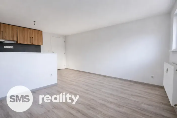 Pronájem bytu 1+kk, Opava - Předměstí, Resslovo nábřeží, 30 m2