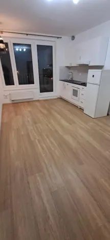 Pronájem bytu 1+kk, Praha - Horní Měcholupy, Nad přehradou, 31 m2