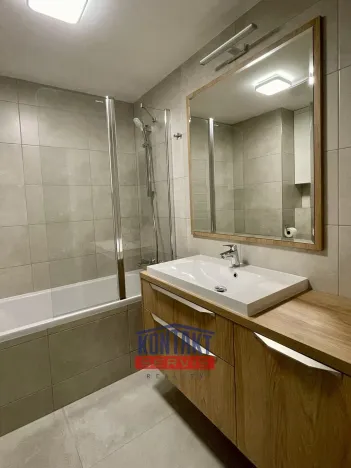 Pronájem bytu 2+kk, České Budějovice, U Branišovského lesa, 54 m2