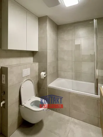 Pronájem bytu 2+kk, České Budějovice, U Branišovského lesa, 54 m2