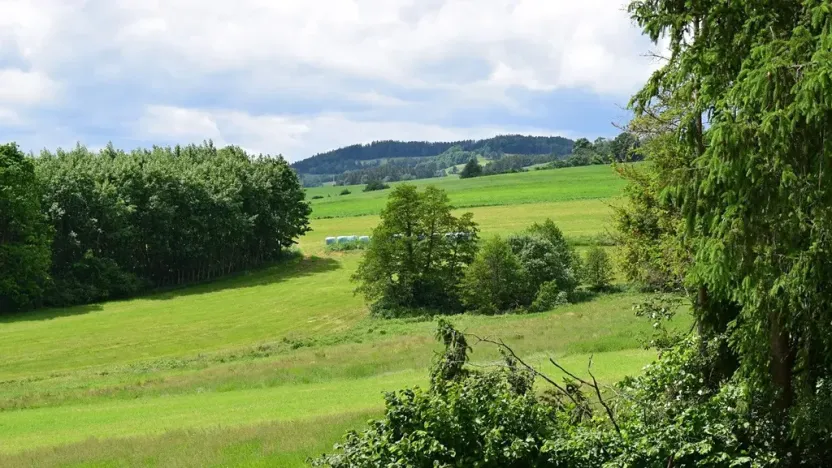 Prodej rodinného domu, Čestice, 320 m2