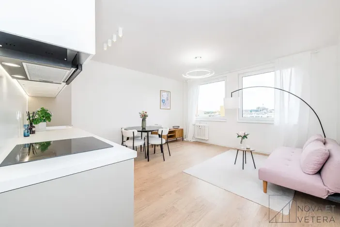 Prodej bytu 2+kk, Praha - Žižkov, Biskupcova, 47 m2