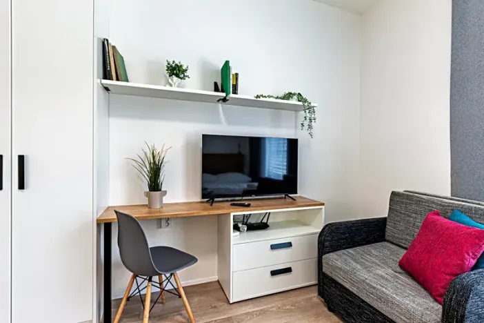 Prodej bytu 1+kk, Praha, Plzeňská, 28 m2