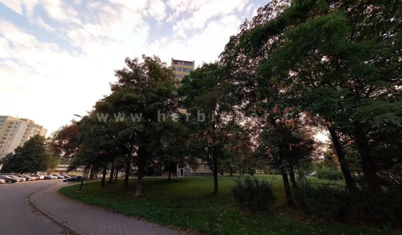 Pronájem bytu 1+kk, Ostrava - Moravská Ostrava, Gen. Janouška, 30 m2