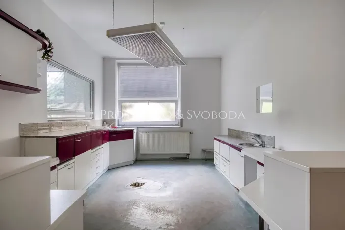 Prodej vily, Bechyně, Čechova, 660 m2