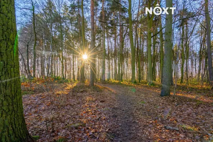 Prodej rodinného domu, Srubec, Vrbová, 163 m2