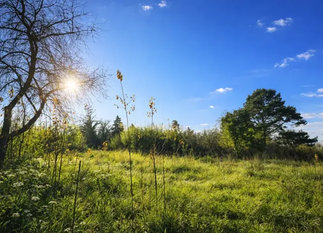 Prodej pozemku, Praha, 594 m2