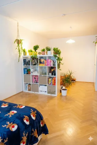 Prodej bytu 1+1, Olomouc - Nová Ulice, Pionýrská, 45 m2