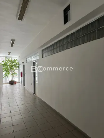 Pronájem kanceláře, Brno, 120 m2