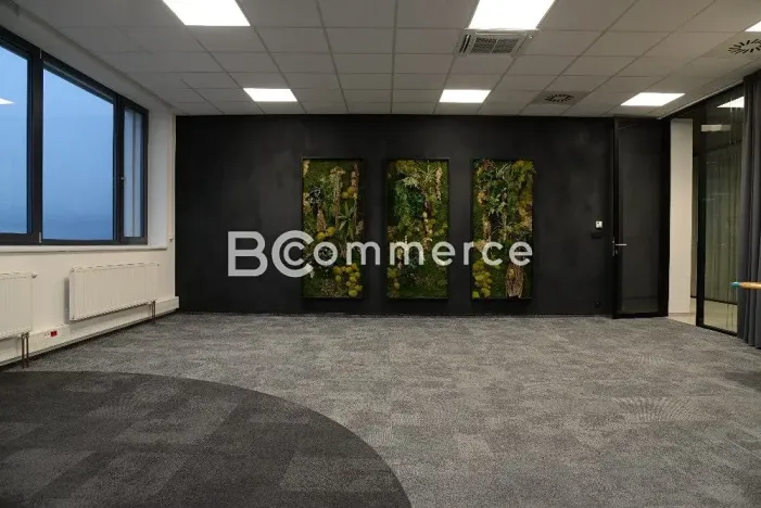 Pronájem kanceláře, Brno, Vídeňská, 380 m2