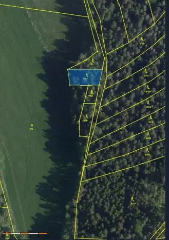 Prodej lesa, Kojčice, 1102 m2