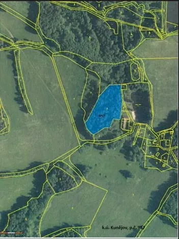 Prodej lesa, Člunek, 8445 m2