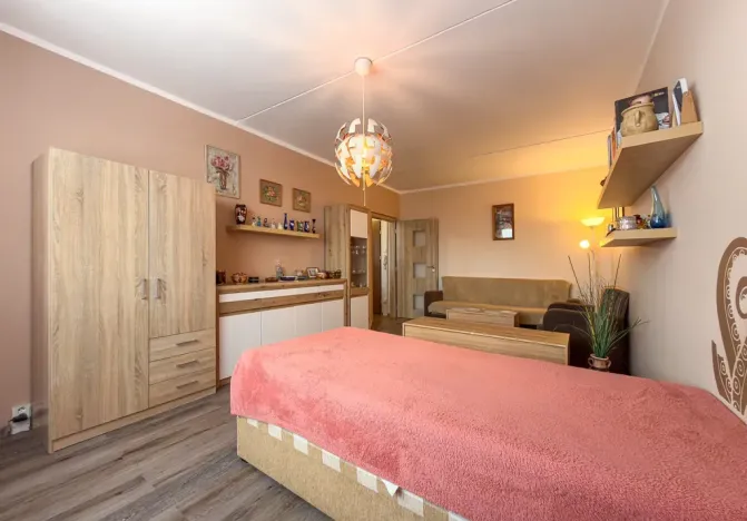 Prodej bytu 1+1, Jirkov, SNP, 39 m2