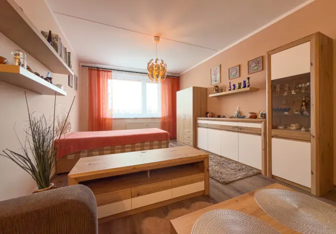 Prodej bytu 1+1, Jirkov, SNP, 39 m2