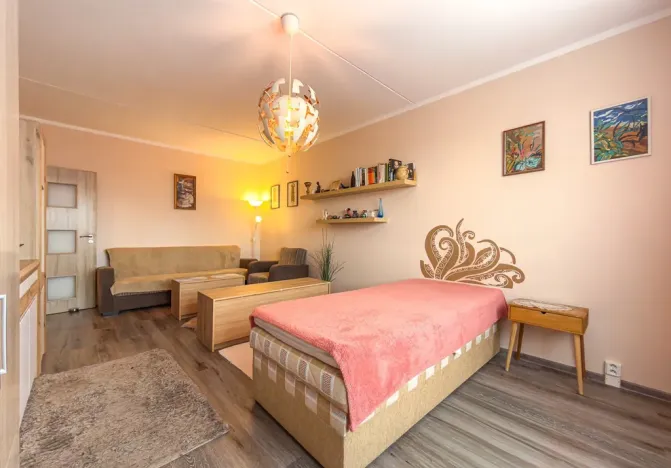 Prodej bytu 1+1, Jirkov, SNP, 39 m2