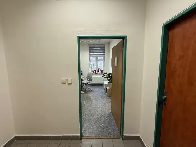 Pronájem ordinace, Plzeň, Purkyňova, 27 m2