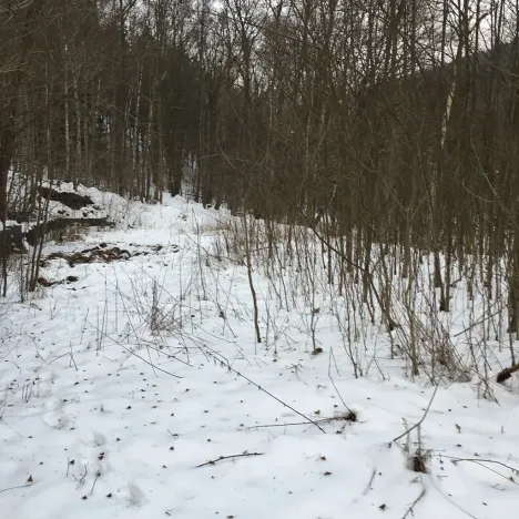 Prodej pozemku, Kadaň, 3903 m2