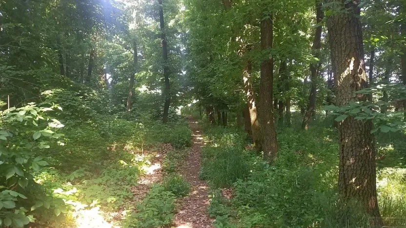 Prodej pole, Čestlice, Říčanská, 678 m2