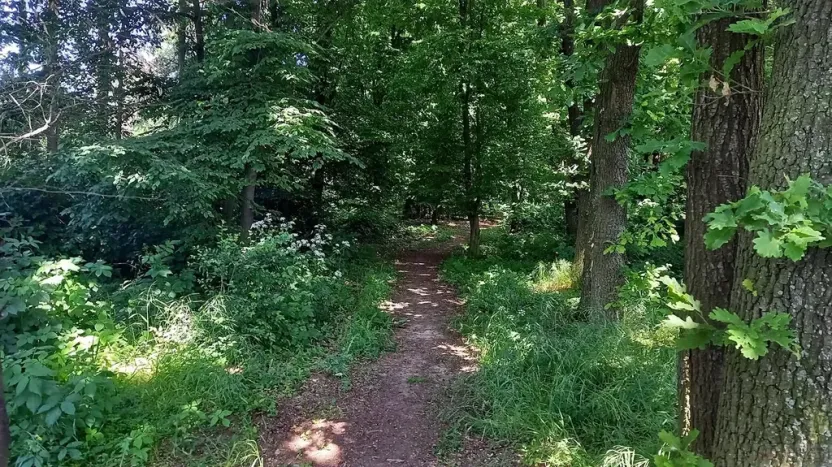 Prodej pole, Čestlice, Říčanská, 678 m2