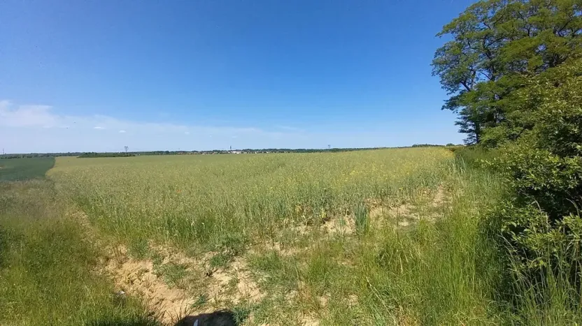 Prodej pole, Čestlice, Říčanská, 678 m2