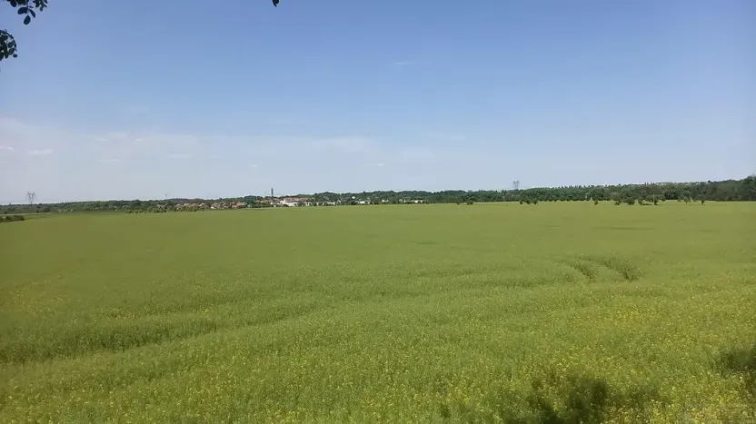 Prodej pole, Čestlice, Říčanská, 678 m2