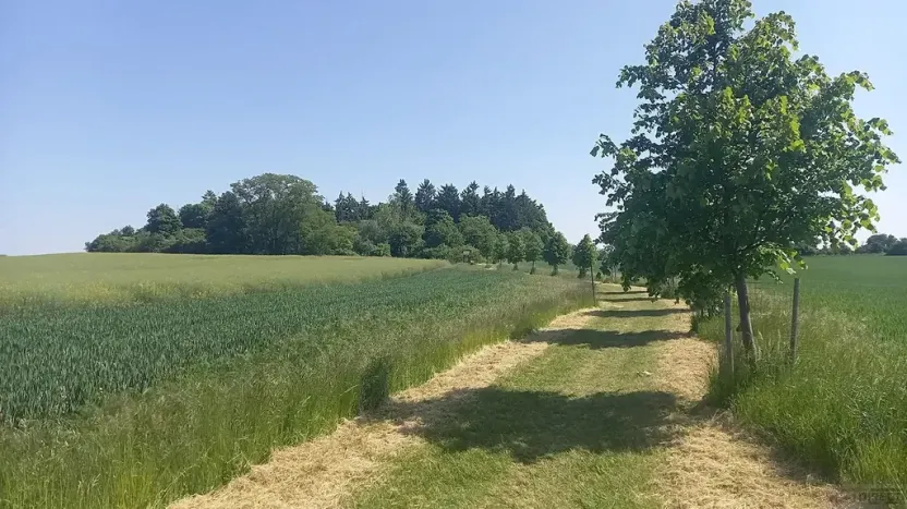 Prodej pole, Čestlice, Říčanská, 3118 m2