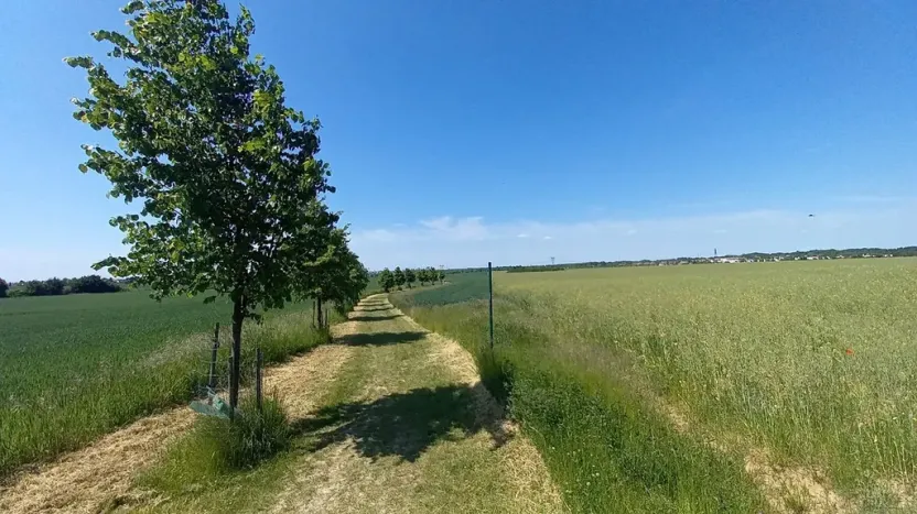 Prodej pole, Čestlice, Říčanská, 3118 m2