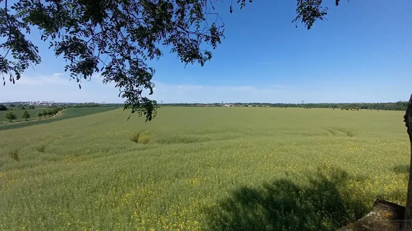 Prodej pole, Čestlice, Říčanská, 3118 m2