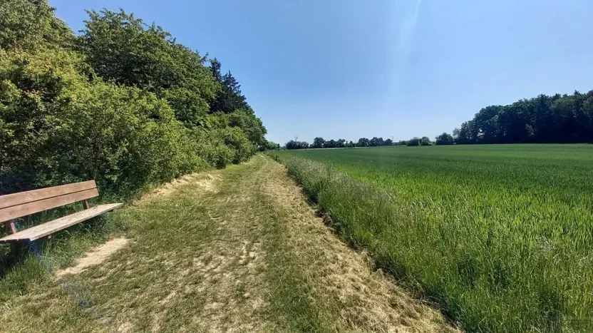 Prodej pole, Čestlice, Říčanská, 3118 m2