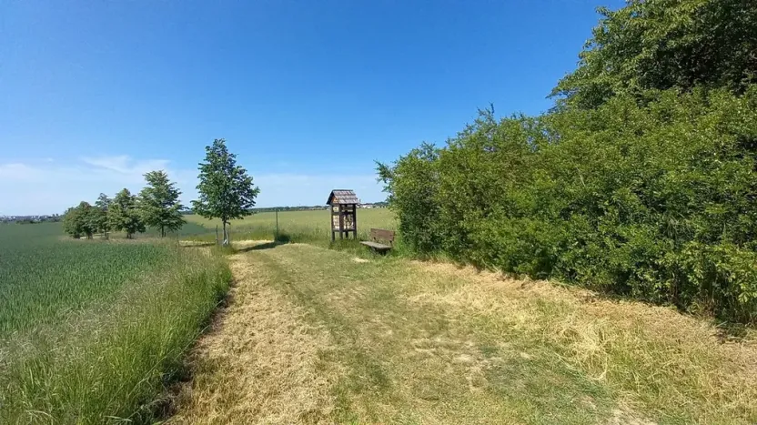 Prodej pole, Čestlice, Říčanská, 480 m2