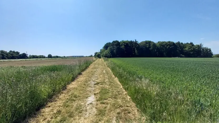 Prodej pole, Čestlice, Říčanská, 480 m2